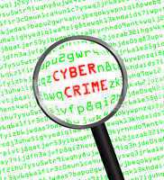 Cyber Crime revealed in computer ma