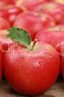 Roter Apfel mit einem Blatt