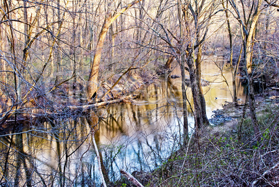 Spring, Pennypack Creek, Montgomery