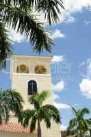 Palm trees and building