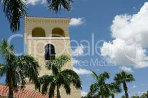 Palm trees and building