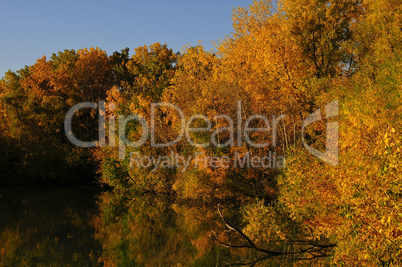 Reflections of fall