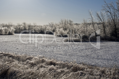 Winter ice storm