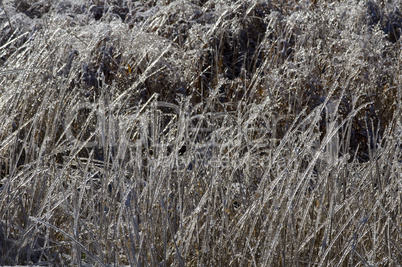 Winter ice storm