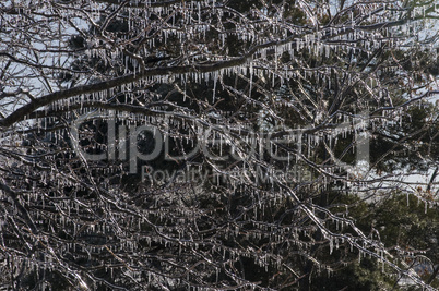 Winter ice storm