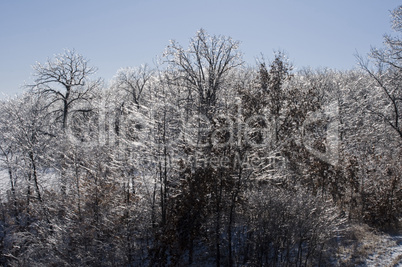 Winter ice storm