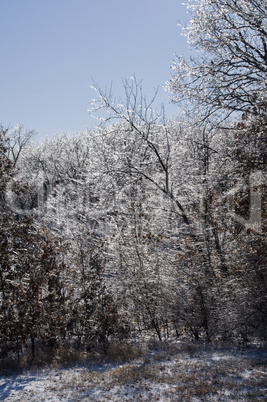 Winter ice storm