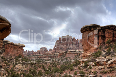 NEEDLES DISTRICT