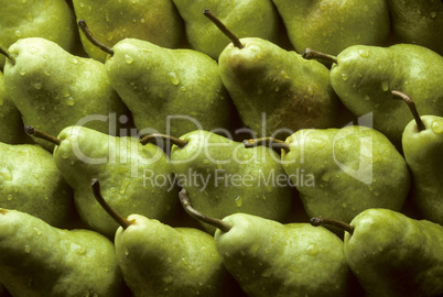Bartlet pears lined up