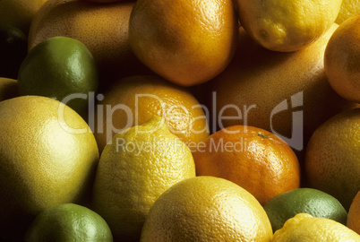 Mixed fresh citrus fruit