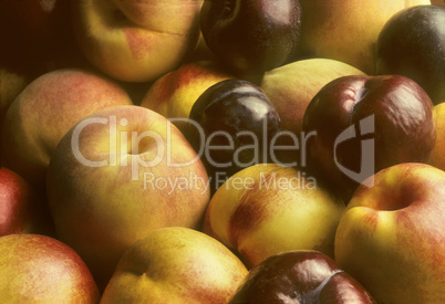 Plums, nectarines and peaches piled