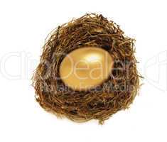 Golden nest egg representing retire