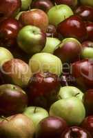 Pile of mixed varieties of apples
