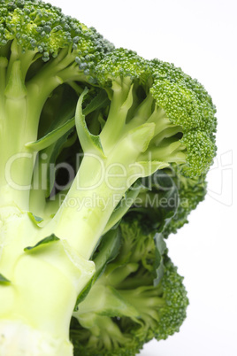 Broccoli on white background