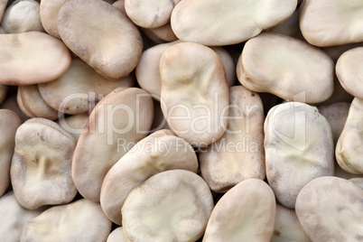 Closeup of fava beans