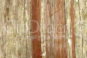 Wood texture