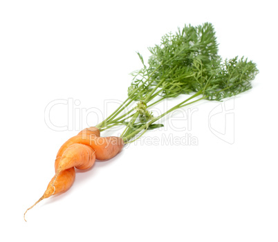 Carrots.