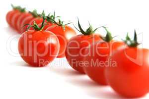 willful tomato