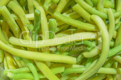 Common bean