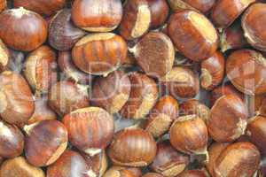 Chestnuts