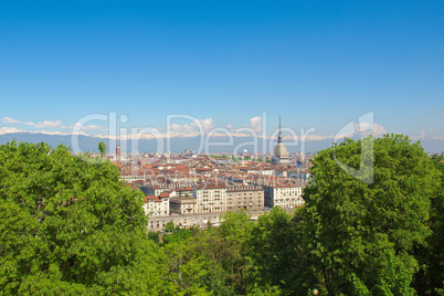 Turin view