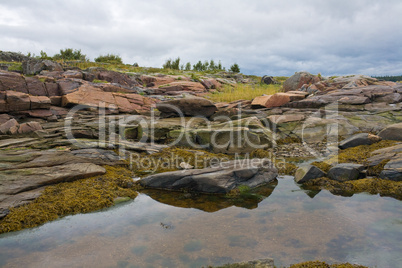 Rocky shore