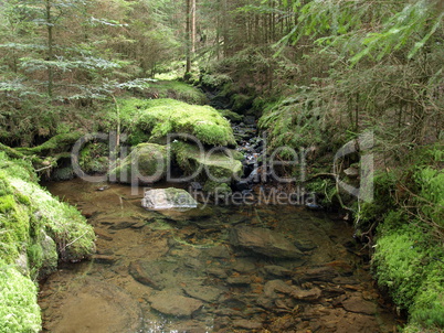 Waldbach