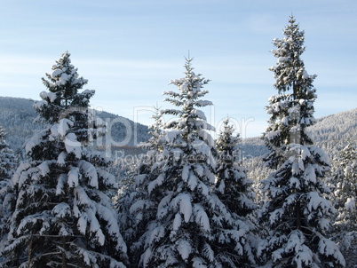 winterlandschaft