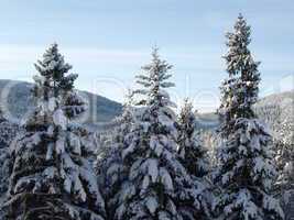 winterlandschaft