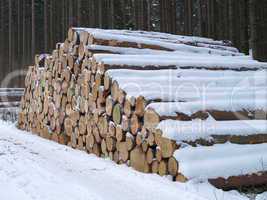 Holzstapel