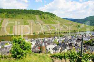 Briedel an der Mosel