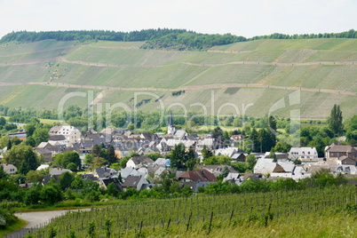 Mülheim an der Mosel