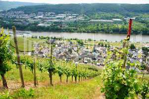 Graach an der Mosel