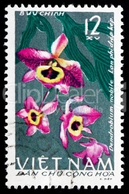 postage stamp vietnam 1966 the noble dendrobium, orchid