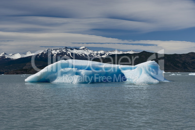Iceberg floating on the Lake Argentino