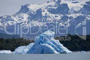 Iceberg floating on the Lake Argentino