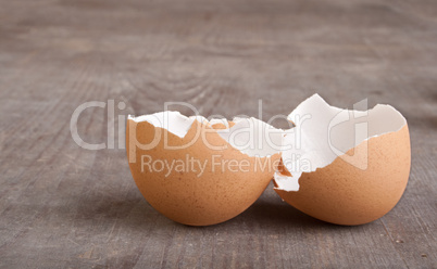 egg shells