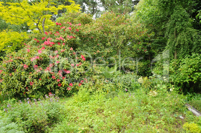 France, le Jardin de l Atelier in Perros Guirec