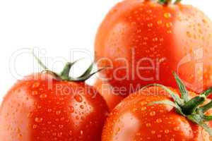 fresh tomatoes