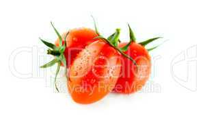 fresh Plum tomatoes