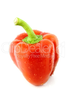 Red sweet pepper