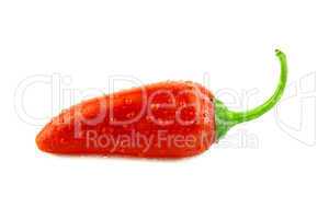 red hot chili