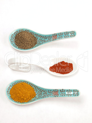 Spices on Asian spoon
