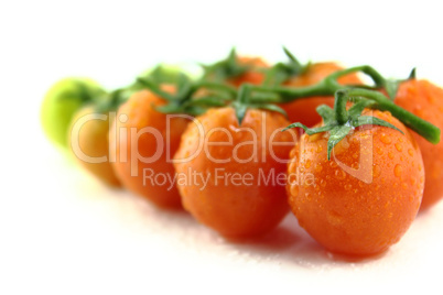 fresh cherry tomatoes