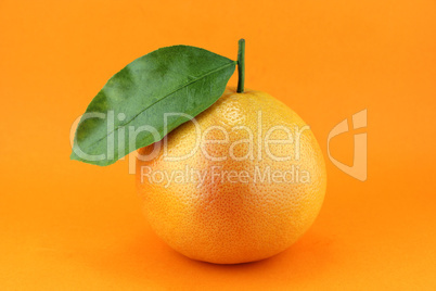 Grapefruit