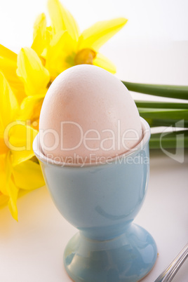 eggcup