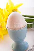 eggcup