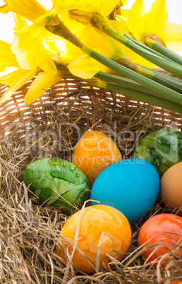 Coloured eggs