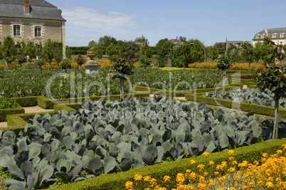 french formal garden of villandry castel
