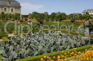 french formal garden of villandry castel